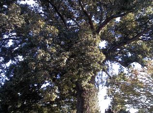 2793 Glen Springs Rd, Drummonds, TN 38023