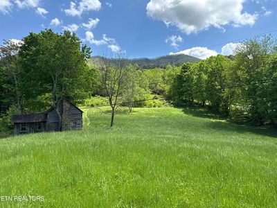 3310 Wild Turkey Way, Parrottsville, TN, 37843