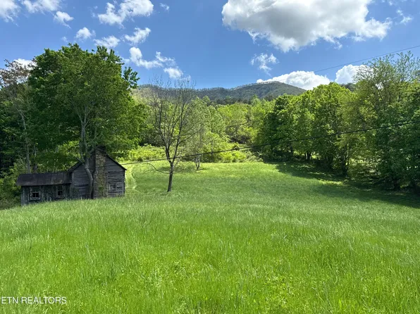 3310 Wild Turkey Way, Parrottsville, TN 37843