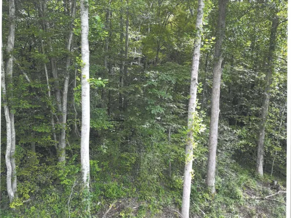 736 Cave Branch Rd, Manchester, KY 40962
