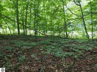 3362 Troon S LOT 42, Bellaire, MI 49615