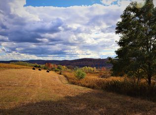 3469 Hober Rd, Troupsburg, NY 14885