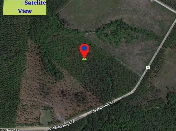 82 Old 122 Hwy W, Manor, GA 31550