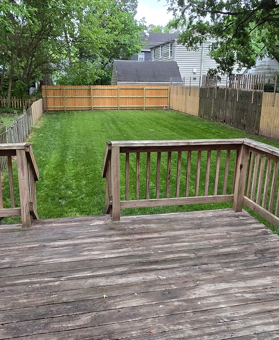 3 bed, 1.5 bath, 1318 sqft, $2,900 — Photo 3