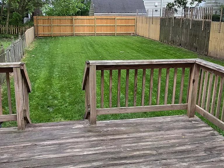 Back yard