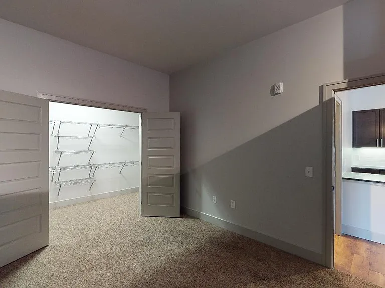 Spacious apartment bedroom with large closet and plush carpet flooring.