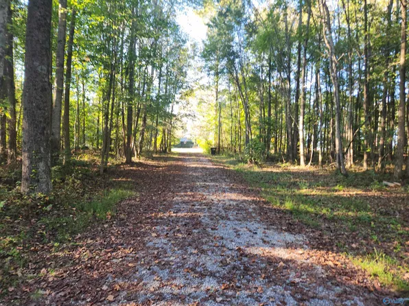 21670 State Highway 71, Flat Rock, AL 35966