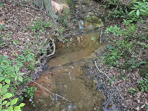 2nd image of 0 Ponderosa Trl