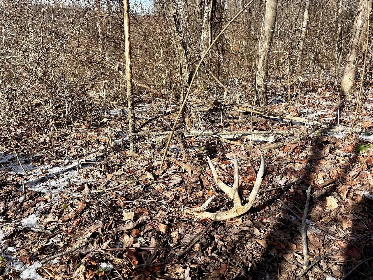 National Pike photo 1