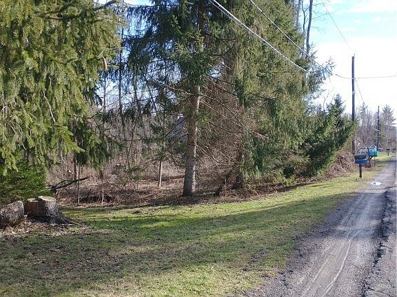 Old Glenwood Rd, West Falls, NY 14170 | MLS #R1455052 | Zillow