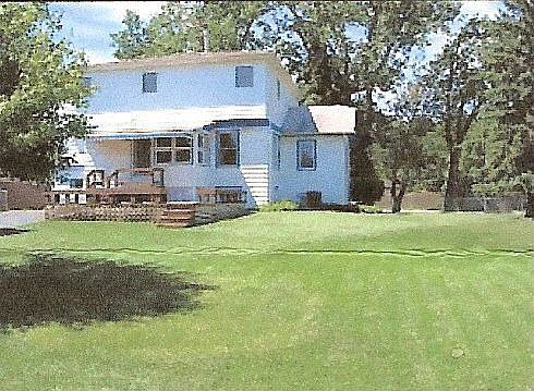 Back yard 