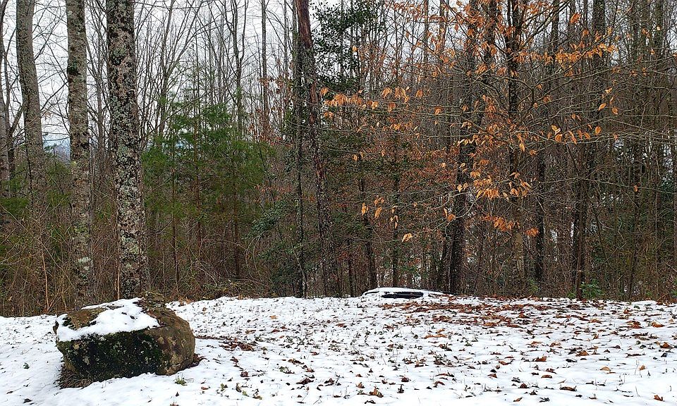 2nd image of 121 Hidden Hills Ln Lot 1