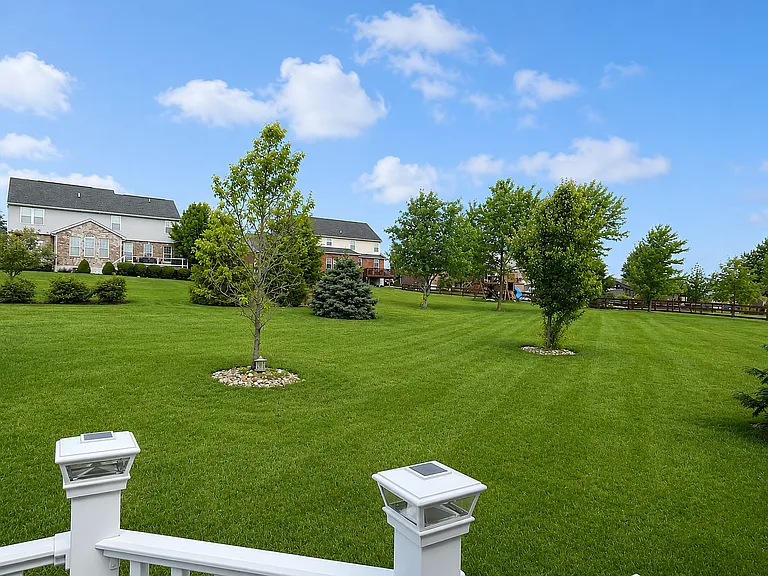 Backyard Right view