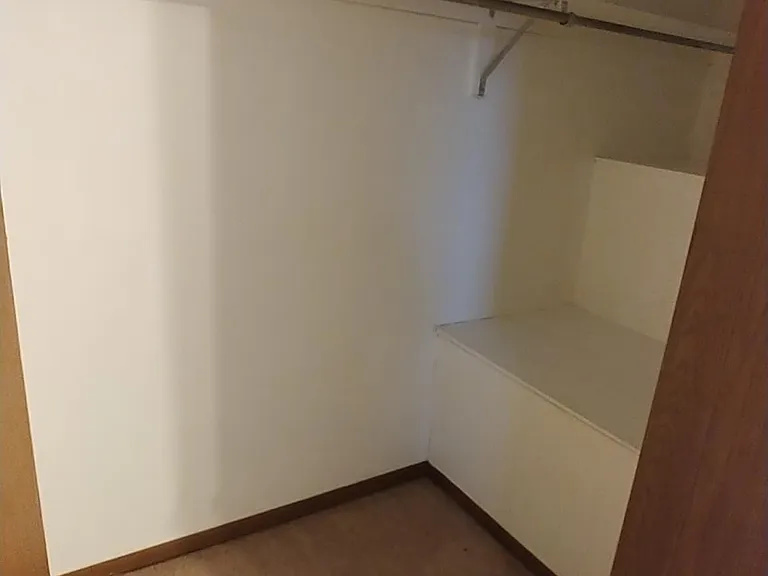 Brooklyn Bridge Room Closet