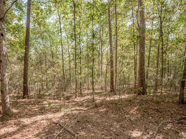 County Road 783, Douglass, TX 75943