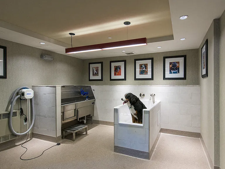 Bring your furry friend down for a bath in our dog washing station