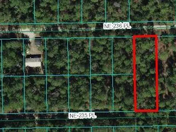 NE 236th Pl #8, Fort Mc Coy, FL 32134
