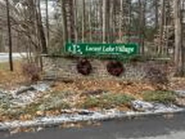811 Maple Dr, Pocono Lake, PA 18347