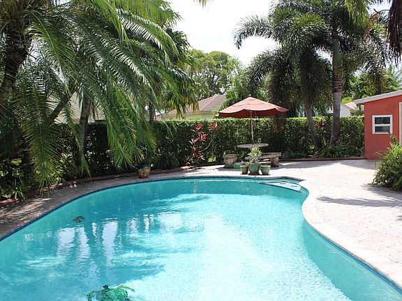 entertainment every day