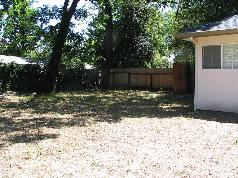 Back yard