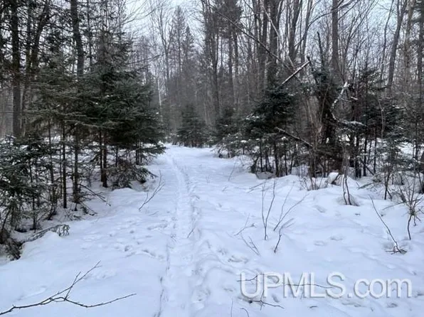 Tbd Rabbit Bay Rd, Lake Linden, MI 49945