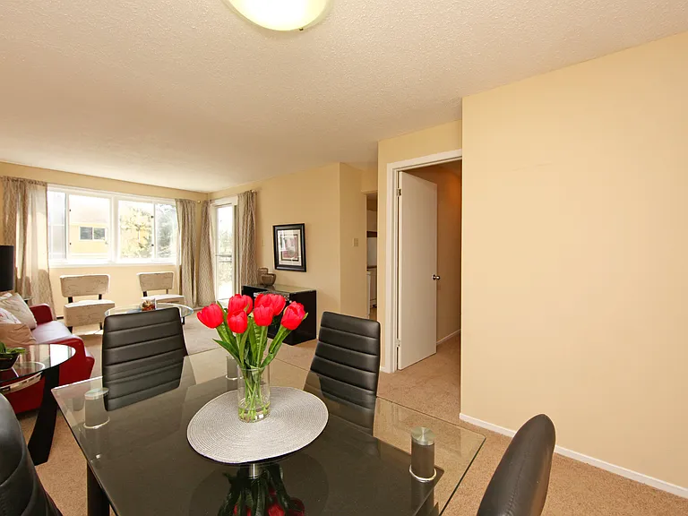 2805 Cedarwood Dr — Photo 5