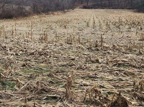 3 Warrens Rd, Milton, PA 17847