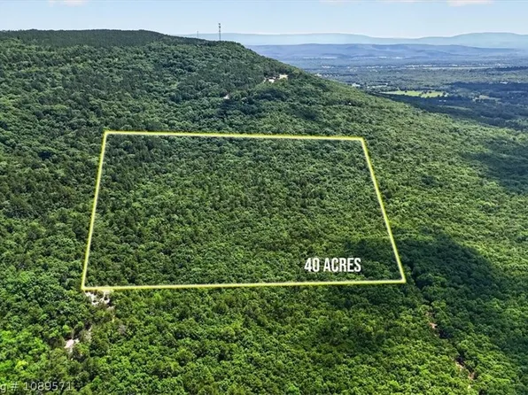 TRACT 4 Benson Ln, Heavener, OK 74937