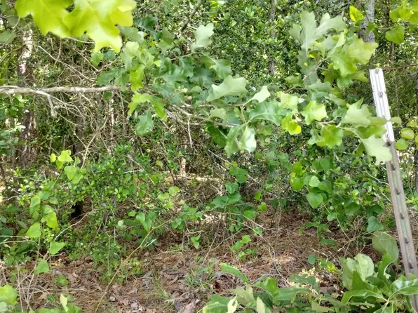 (undisclosed Address), Glenwood, AR 71943