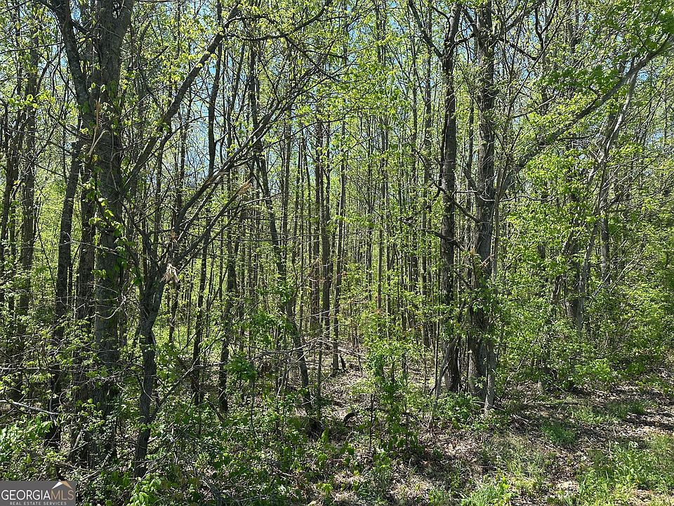 1st image of 0 N 411th Hwy