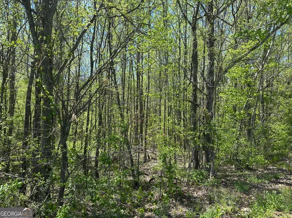 0 N 411th Hwy, Chatsworth, GA 30705