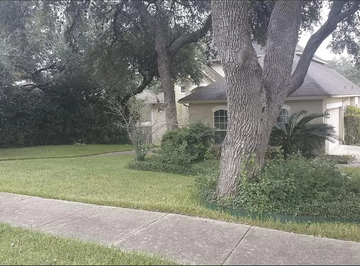 6 bed, 4384 sqft, $4,900 — Photo 2