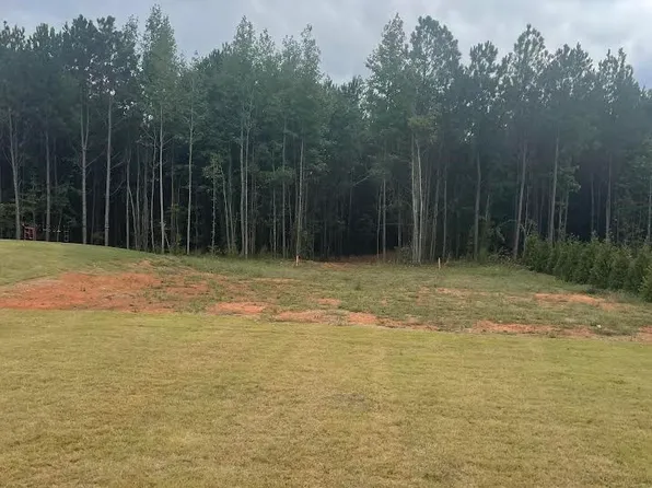 LOT 2A One Lee Rd #155, Salem, AL 36874