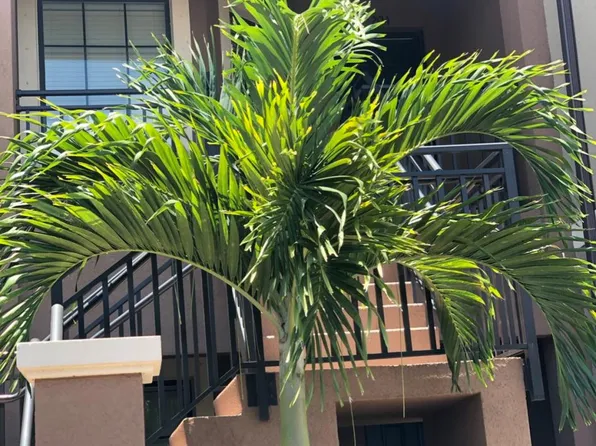 13726 Messina Loop Unit 204, Bradenton, FL 34211