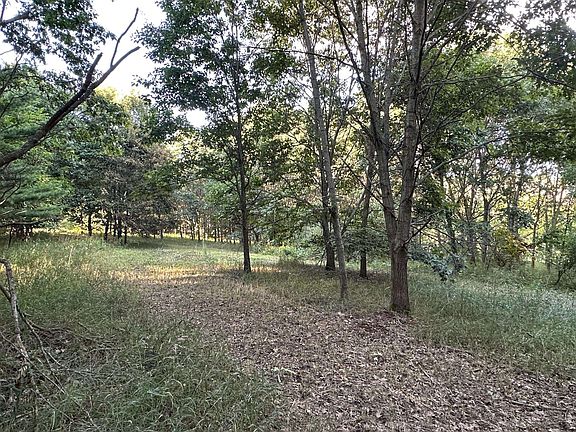 3rd image of LOT 4 Davis St