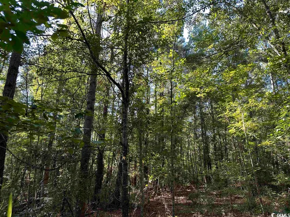 13144 Georgetown Hwy., Georgetown, SC 29440