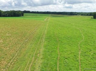 0 Jimbo Rd, Webb, AL 36376