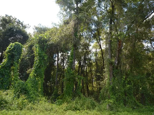 6716 E Morley St, Inverness, FL 34452