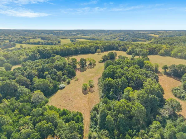 000 Bobcat Road, Rogersville, MO 65742