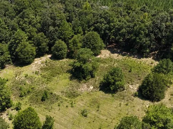 LOT Three State Hwy #27, Newville, AL 36353