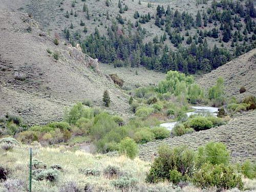 2nd image of 56 Gopher Gulch Rd