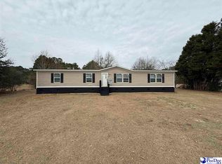 3875 Carolyn Ln, Johnsonville, SC 29555