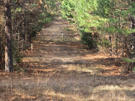 2nd image of County Road 272 N