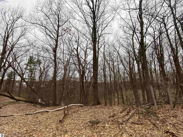 0 Incochee Crest Cmns, Traverse City, MI 49684