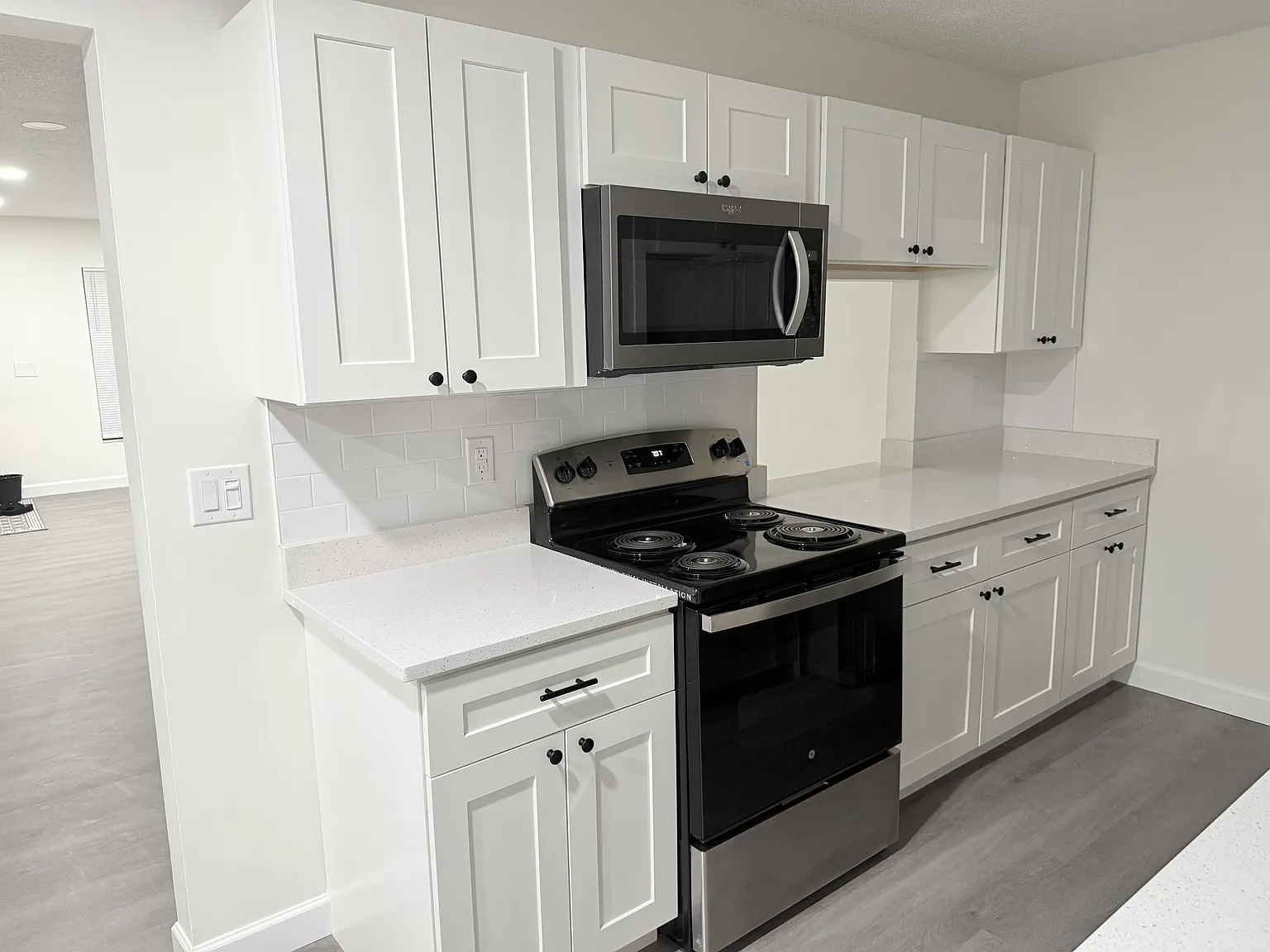 3 bed, 1307 sqft, $2,250 — Photo 4
