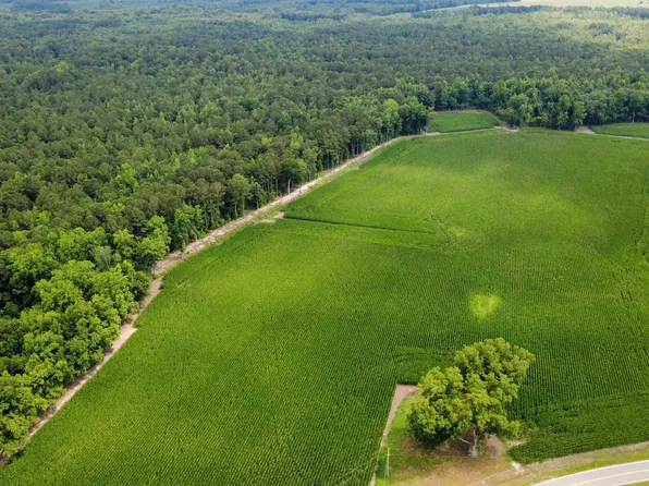 TBD (Tract 6) Long Branch Swamp Rd. #Tract 6 and Tract 4 Remainder, Green Sea, SC 29545