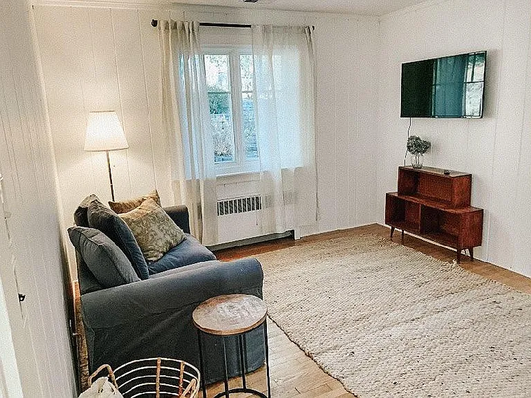 Den with TV