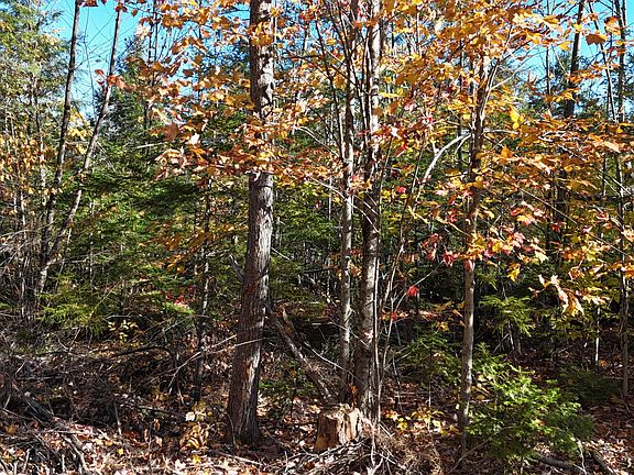 5th image of Lot 4 Long pine Road