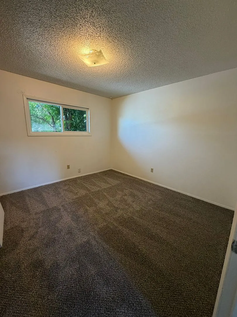 Newly Renovated 2 Bedroom, 1 Bathroom Triplex - South Suburbs — Photo 4