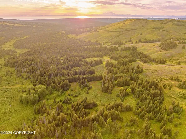 0 Fletcher Rd, Homer, AK 99603